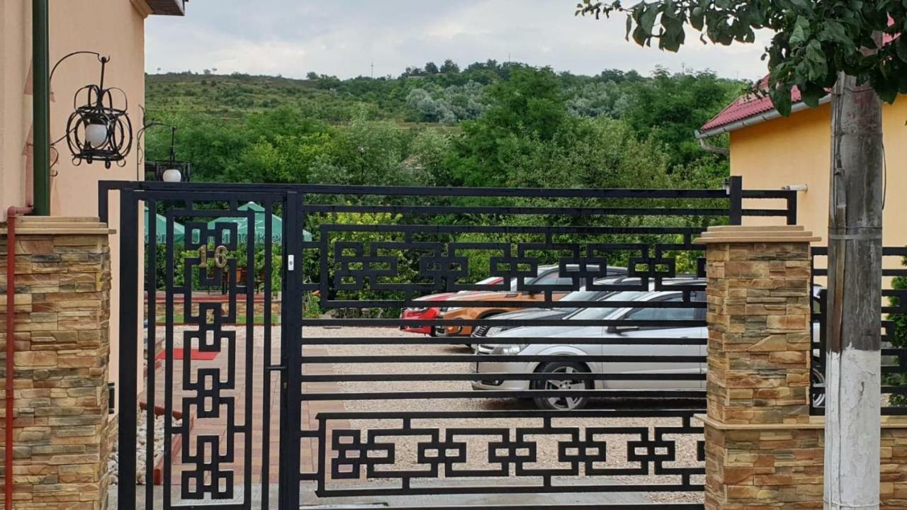 Pensiunea Brazi Турда Екстериор снимка